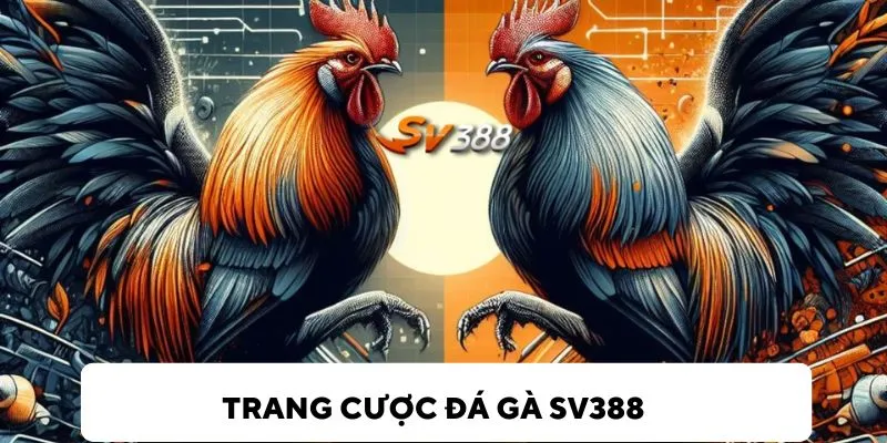 SV388 - Trang Cược Đá Gà Trực Tuyến Số 1 Tại Việt Nam