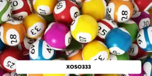 Xoso333 - Thế Giới Giải Trí Sôi Động, Uy Tín Top 1